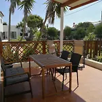 Yucca Garden