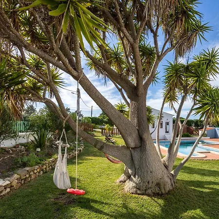 Yucca Garden