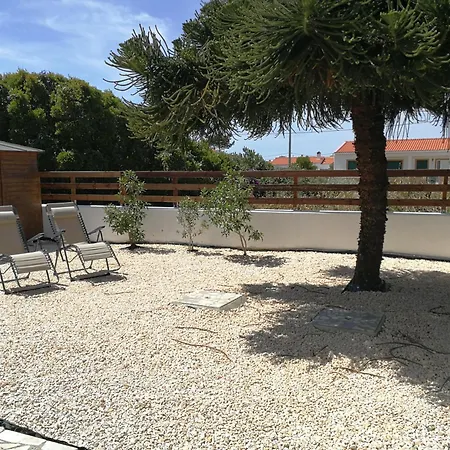 Yucca Garden *